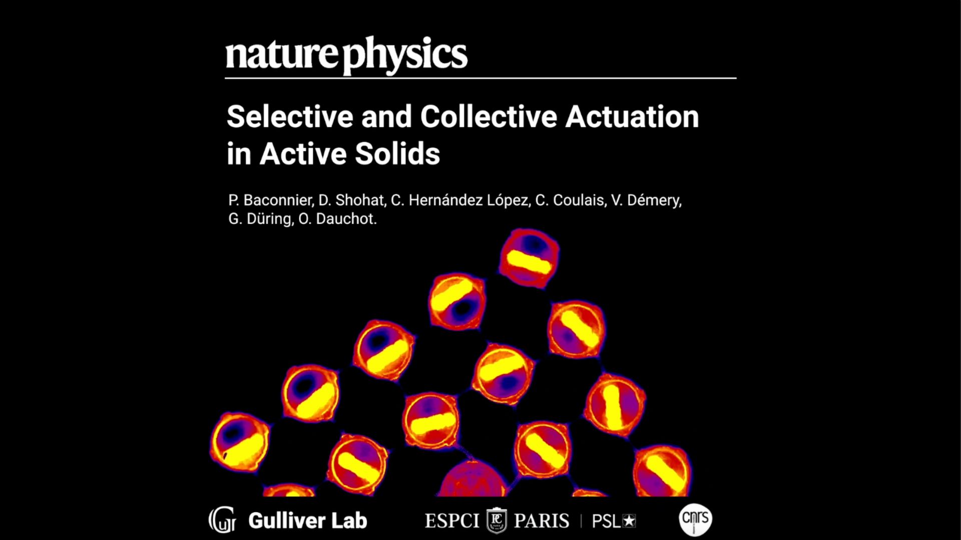  Publicación en revista Nature Physics devela el comportamiento colectivo de las partículas en sólidos activos