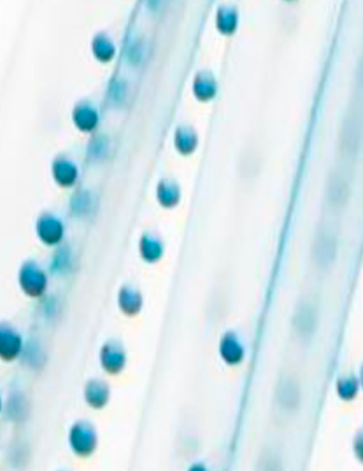 Diseño sin título (17)